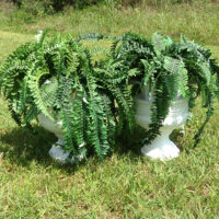 Flower Stand – Roman Urns