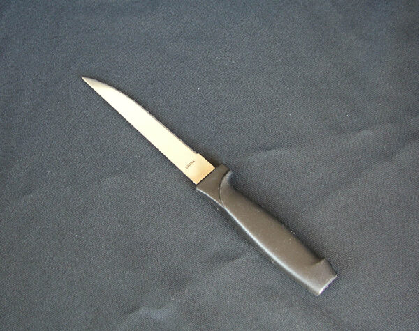 Steak Knife